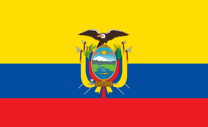 Ecuador National Team Profile: South American Grit in 2026 World Cup Group E
