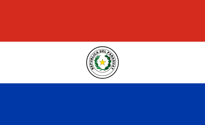 Paraguay National Team Profile: South America’s Battlers at the 2026 World Cup