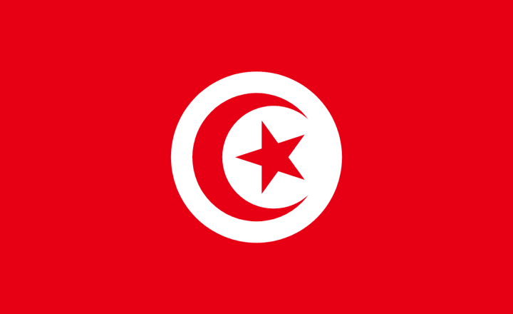 Tunisia National Team Profile: The Eagles of Carthage at the 2026 World Cup