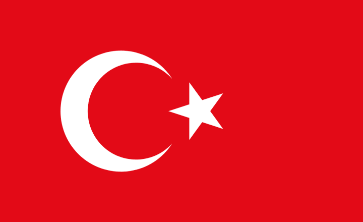 Türkiye National Team Profile | 2026 World Cup Group D Preview & Outlook