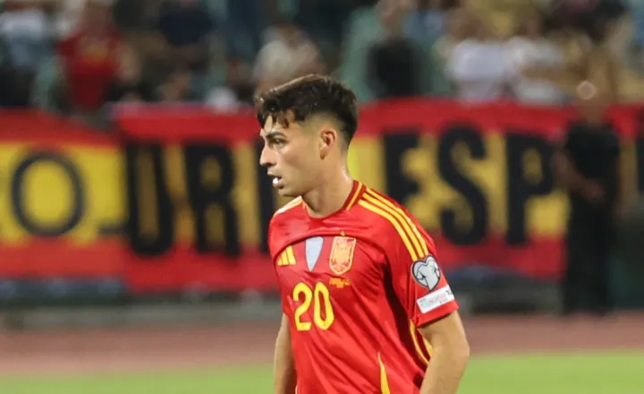 佩德里球员档案:巴塞罗那中场,数据与2026展望